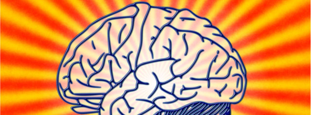 waarom-naamnummers-zo-succesvol-zijn